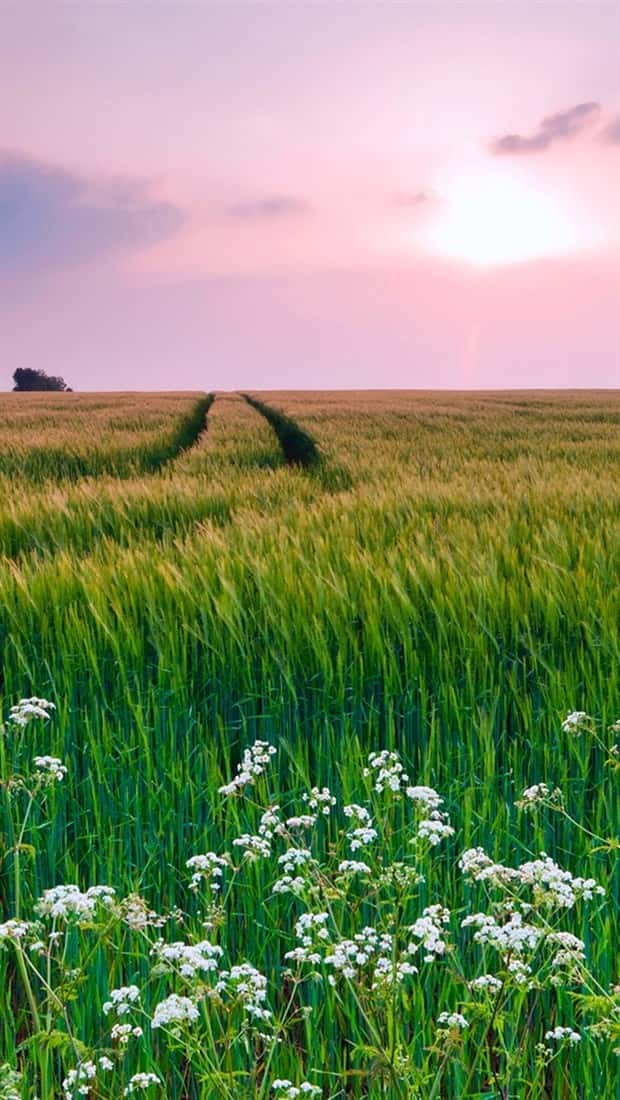 Unique Smartphone Wallpapers Youll Love (38 photos)