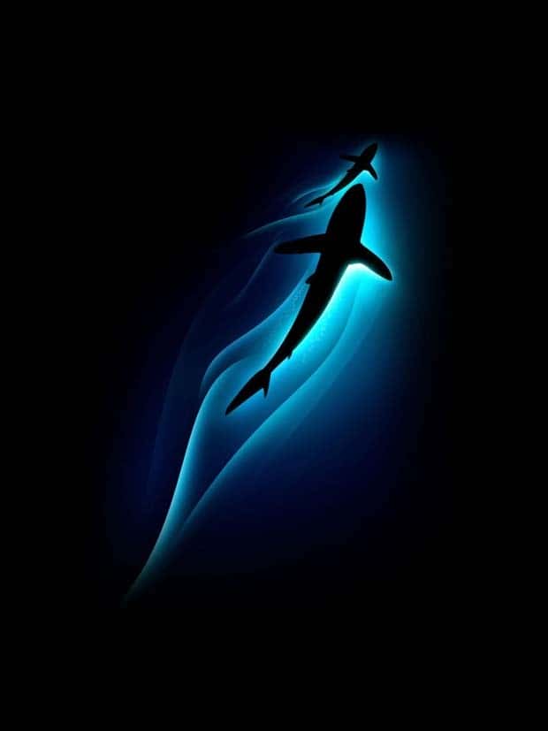 Unique Smartphone Wallpapers Youll Love (38 photos)