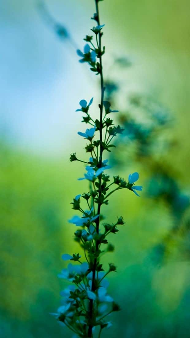 Unique Smartphone Wallpapers Youll Love (38 photos)