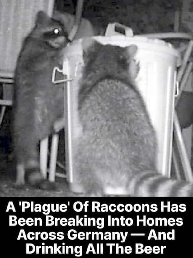 25 Downright Strange Headlines (25 photos)