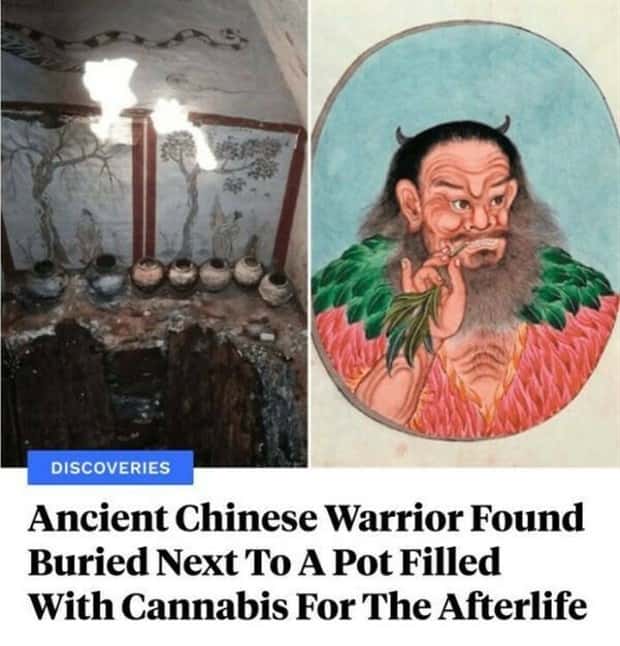 25 Downright Strange Headlines (25 photos)