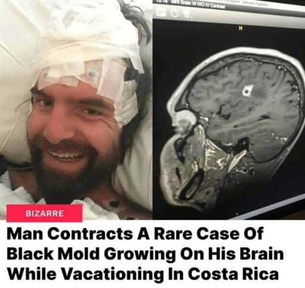 25 Downright Strange Headlines (25 photos)