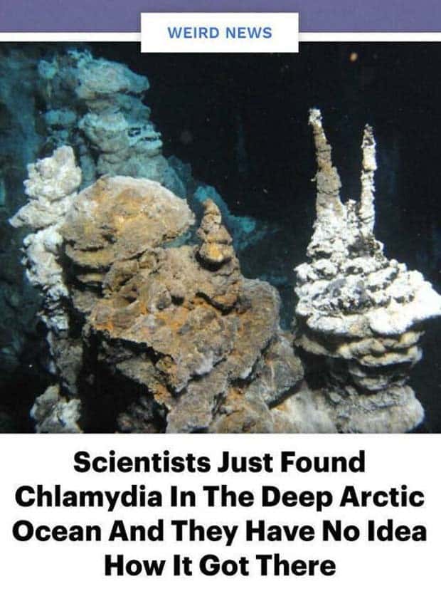 25 Downright Strange Headlines (25 photos)