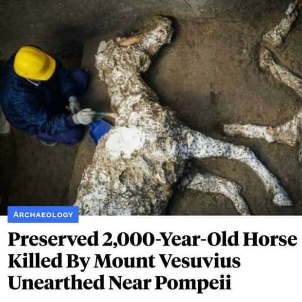 25 Downright Strange Headlines (25 photos)