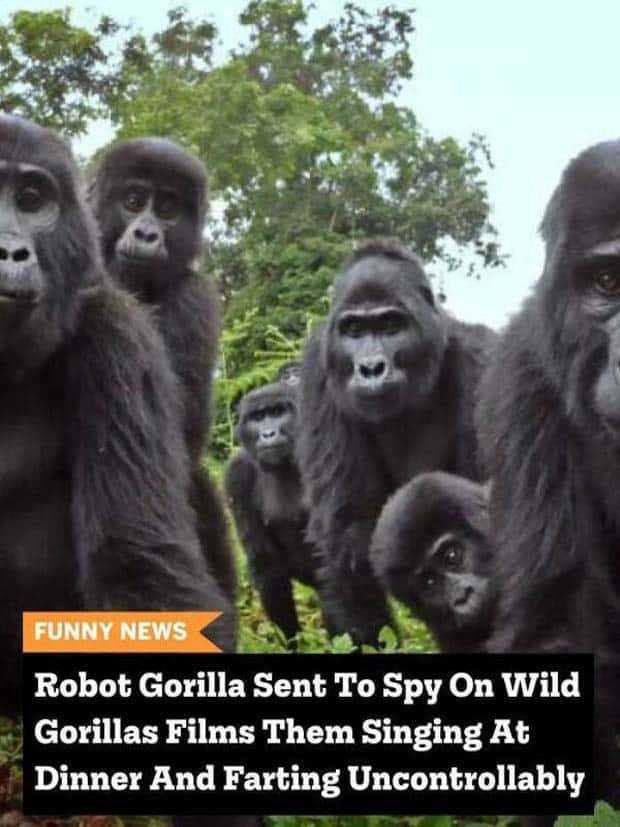 25 Downright Strange Headlines (25 photos)