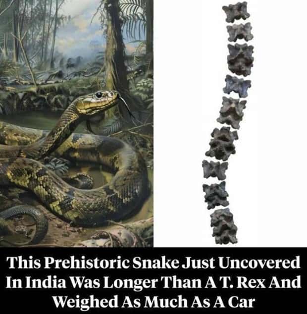 25 Downright Strange Headlines (25 photos)