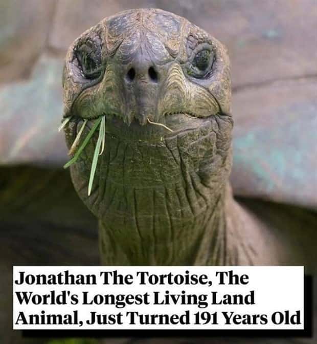 25 Downright Strange Headlines (25 photos)