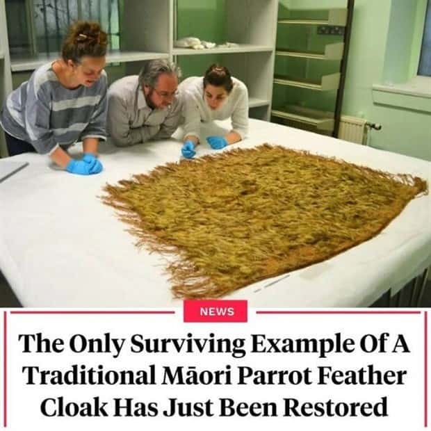 25 Downright Strange Headlines (25 photos)