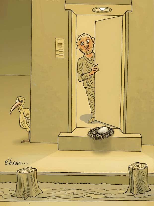 23 Captivating Images with Hidden Depth (23 photos)