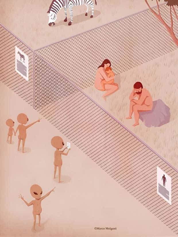 23 Captivating Images with Hidden Depth (23 photos)