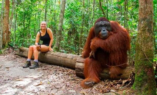 animal giants 22 Giants of the Animal Kingdom (32 photos)