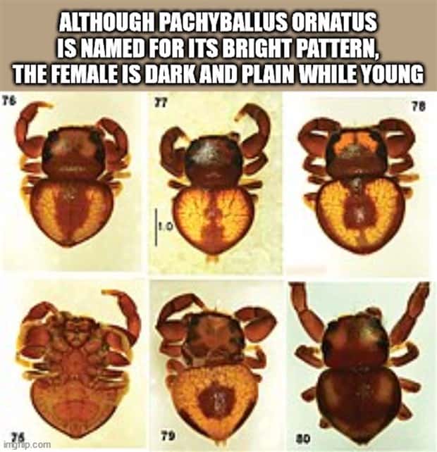 cool facts 21 It’s Time for Some Cool and Interesting Facts #398 (22 photos)