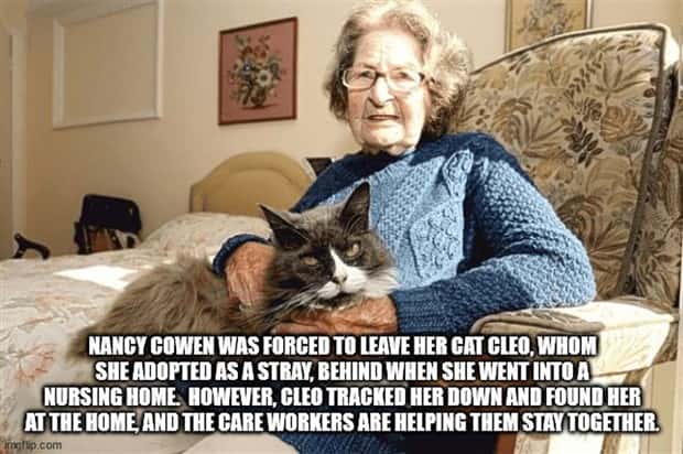 cool facts 22 It’s Time for Some Cool and Interesting Facts #398 (22 photos)