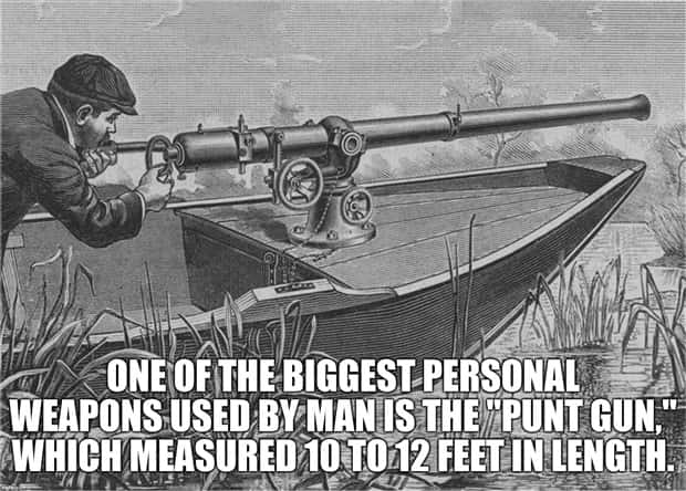 cool facts 8 It’s Time for Some Cool and Interesting Facts #398 (22 photos)