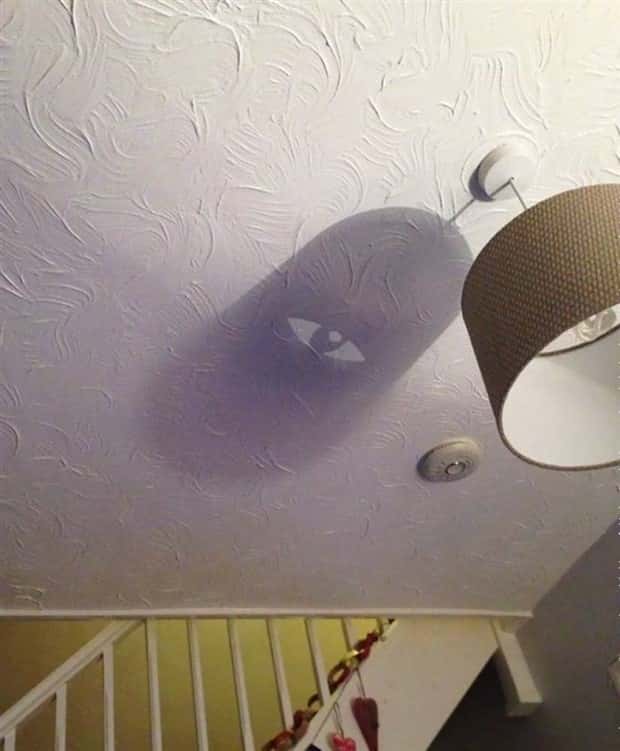 Shadows That Will Make You Double Take (41 photos)