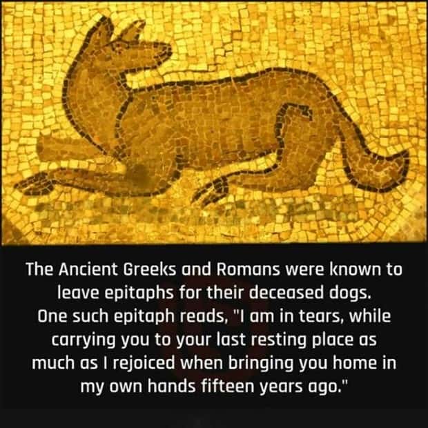 It’s Time for Some Cool and Interesting Facts #397 (24 photos)