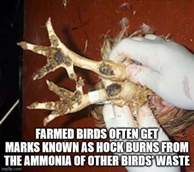 It’s Time for Some Cool and Interesting Facts #397 (24 photos)