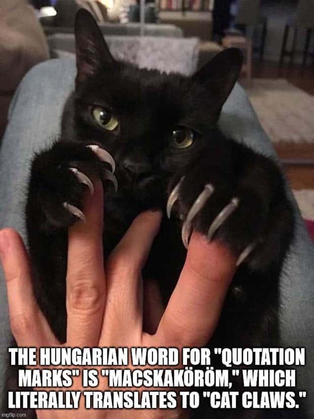 It’s Time for Some Cool and Interesting Facts #397 (24 photos)