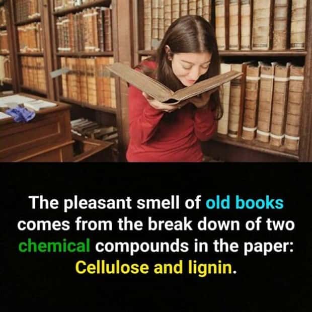 It’s Time for Some Cool and Interesting Facts #397 (24 photos)