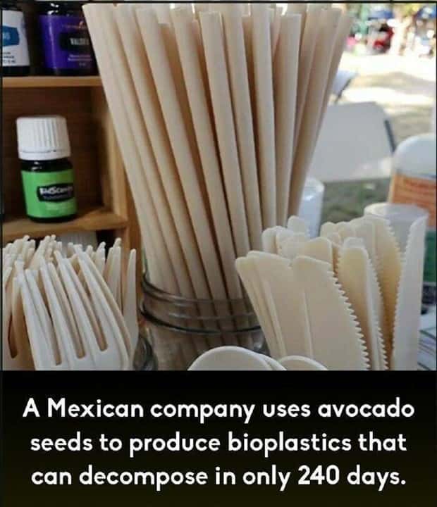 It’s Time for Some Cool and Interesting Facts #397 (24 photos)