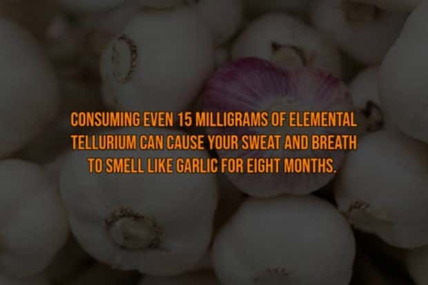 It’s Time for Some Cool and Interesting Facts #397 (24 photos)