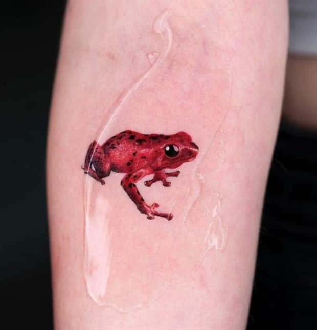 31 Great Frog Themed Tattoos (31 photos)