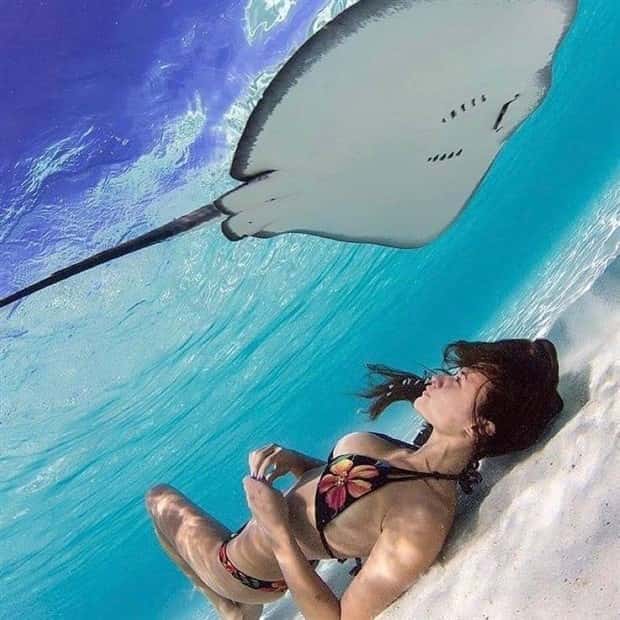 A Little Fun for Adults #372 (24 photos)