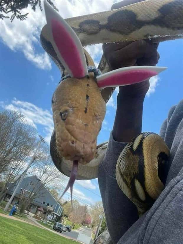 Get Ready for Funny Animals #353 (27 photos)