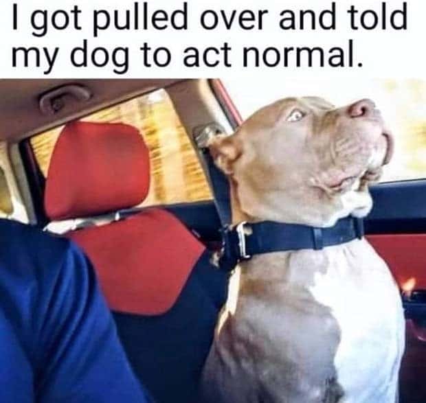 Funny Pics and Memes to Make You Laugh #124 (28 photos)