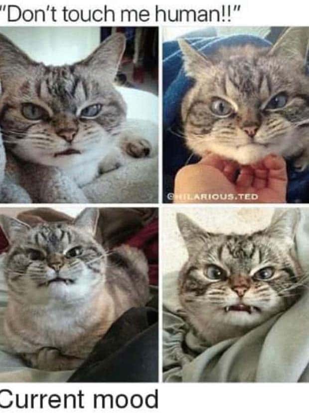 Funny Pics and Memes to Make You Laugh #124 (28 photos)