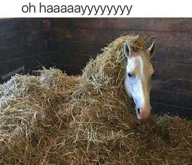 Funny Pics and Memes to Make You Laugh #124 (28 photos)