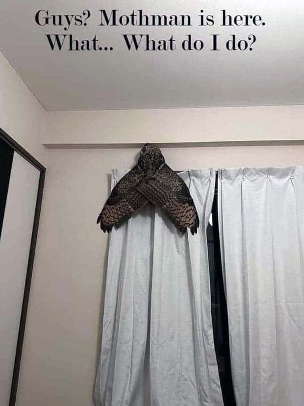 Funny Pics and Memes to Make You Laugh #124 (28 photos)