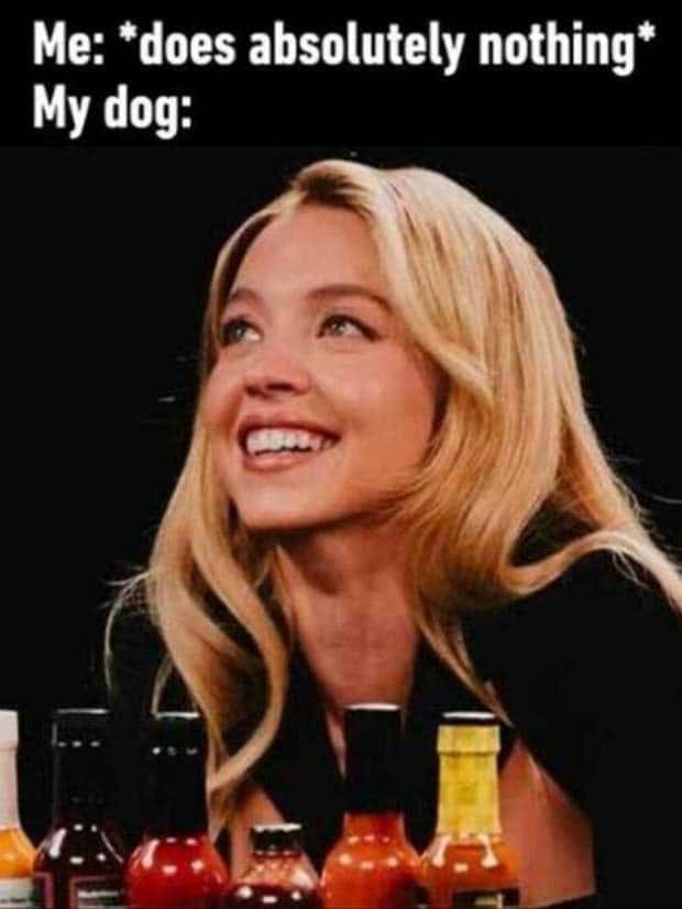 Funny Pics and Memes to Make You Laugh #124 (28 photos)