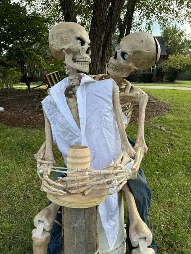 Funny Skeleton Ideas for Halloween Decor (35 photos)
