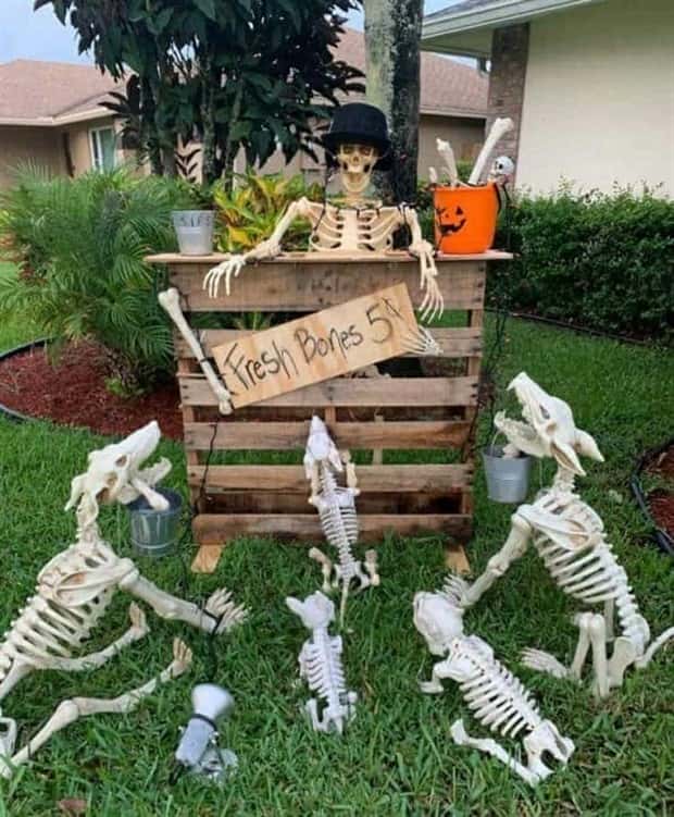 Funny Skeleton Ideas for Halloween Decor (35 photos)