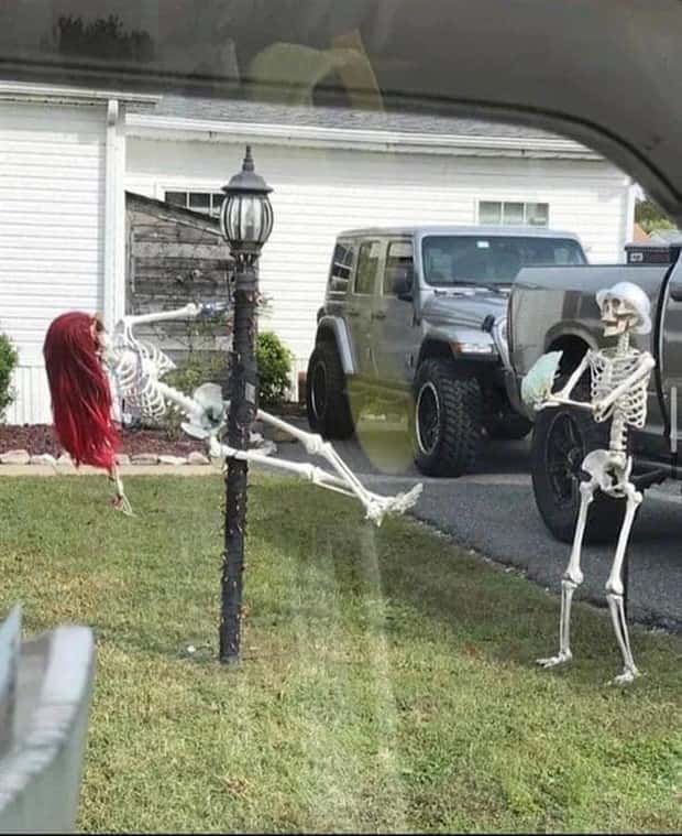 Funny Skeleton Ideas for Halloween Decor (35 photos)