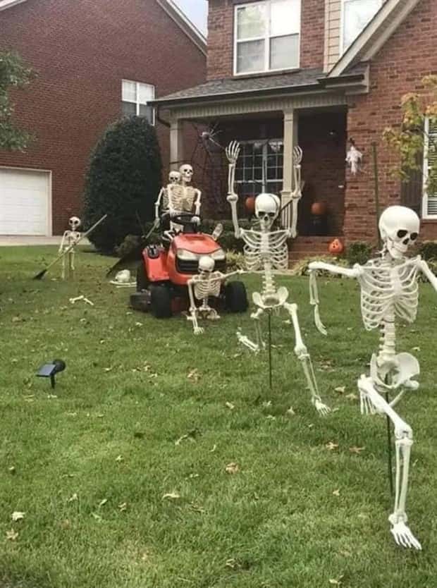 Funny Skeleton Ideas for Halloween Decor (35 photos)