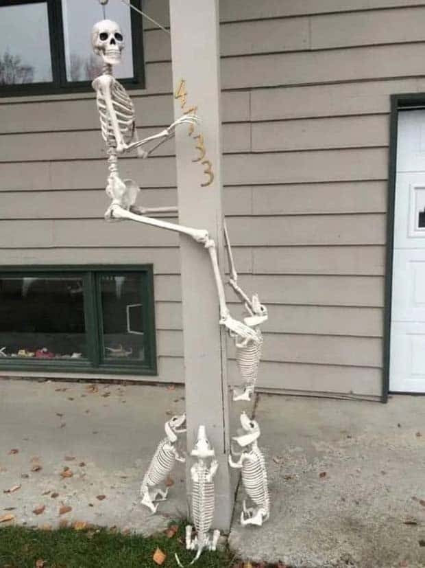 Funny Skeleton Ideas for Halloween Decor (35 photos)