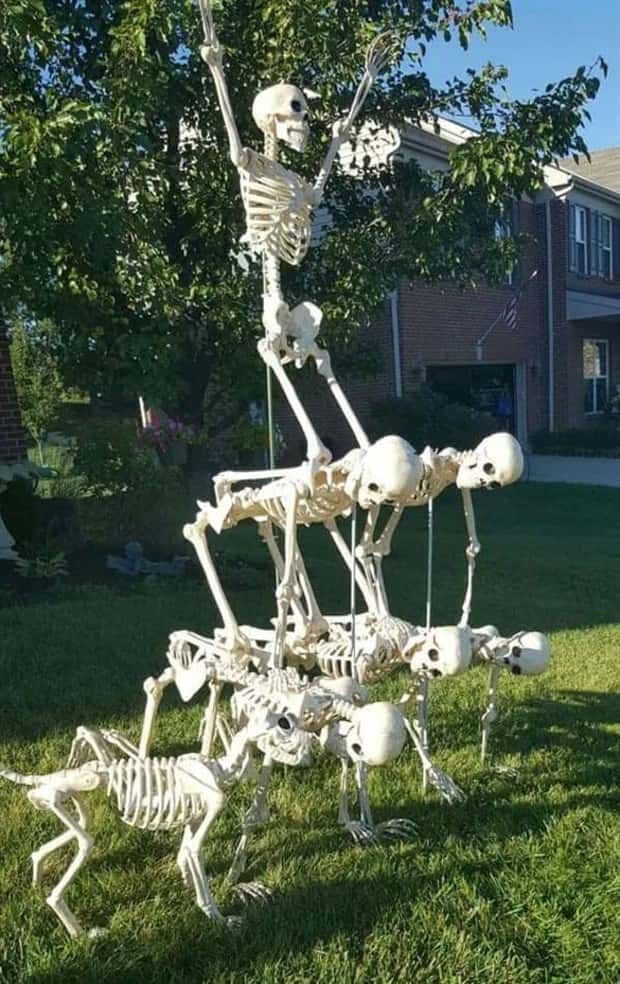 Funny Skeleton Ideas for Halloween Decor (35 photos)