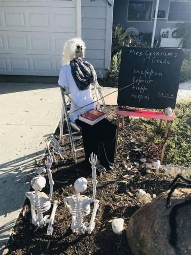 Funny Skeleton Ideas for Halloween Decor (35 photos)