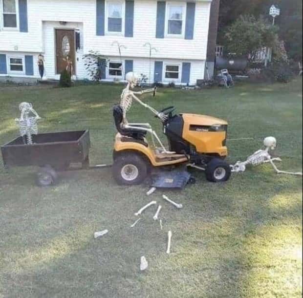 Funny Skeleton Ideas for Halloween Decor (35 photos)