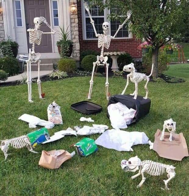 Funny Skeleton Ideas for Halloween Decor (35 photos)