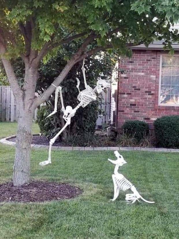 Funny Skeleton Ideas for Halloween Decor (35 photos)