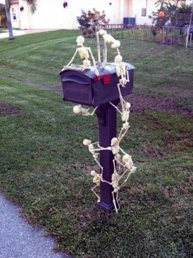 Funny Skeleton Ideas for Halloween Decor (35 photos)