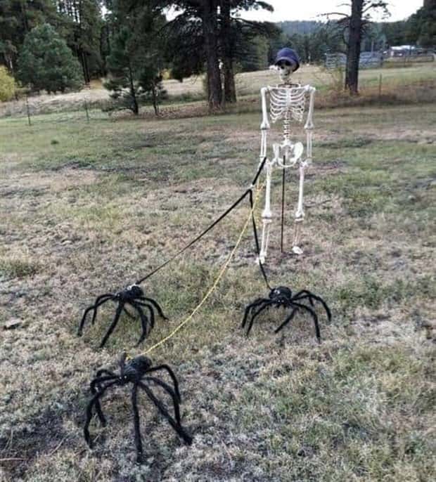 Funny Skeleton Ideas for Halloween Decor (35 photos)