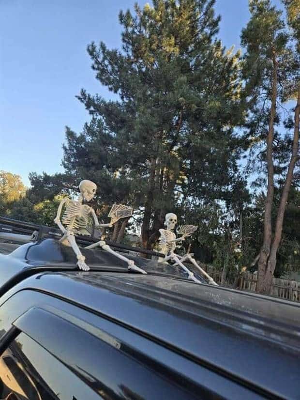 Funny Skeleton Ideas for Halloween Decor (35 photos)