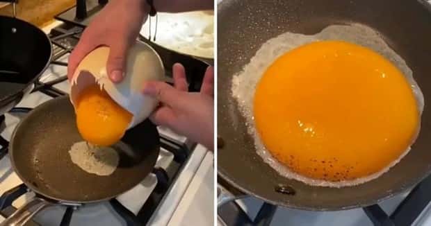 Strange Giant Foods Captured (26 photos)