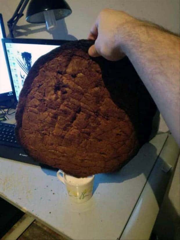 Strange Giant Foods Captured (26 photos)