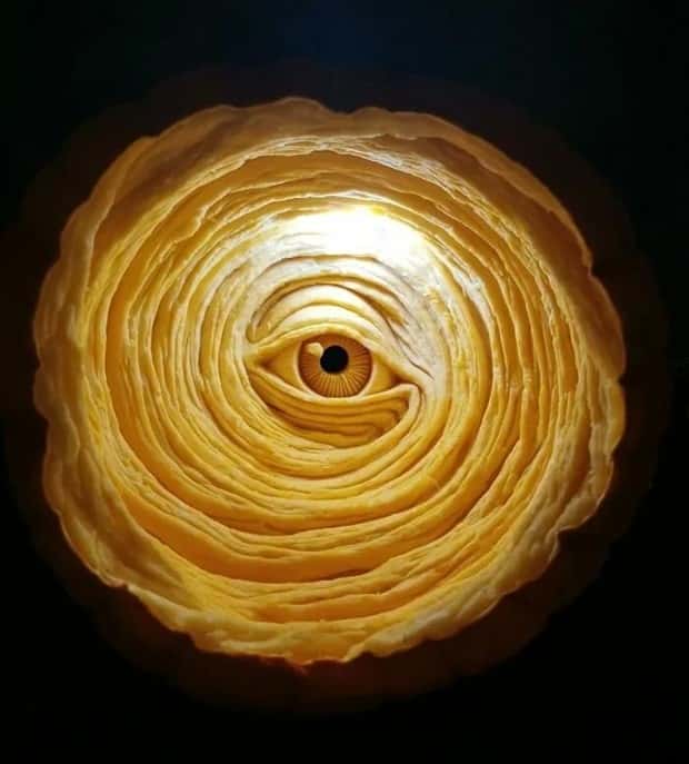 impressive pumpkin carvings 34 Impressive Pumpkin Carvings for Halloween Fun (33 photos)