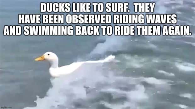 interesting facts 24 It’s Time for Some Cool and Interesting Facts #401 (27 photos)